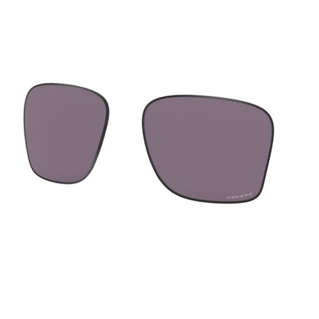 Lentes Leffingwell Prizm Grey (AOO9100LS-000001)