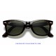 Ray-Ban WayFarer Classic Carey / Crystal Green (RB2140-902)