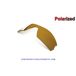 Ten Path lens Bronze Polarized (963-41)