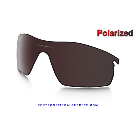 Ten Path lens Fire Iridium Polarized (43-544)