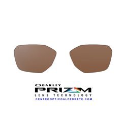 Savitar Lentes Prizm Tungsten (OO6047-02L)