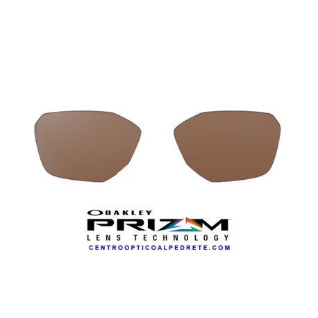 Savitar Lentes Prizm Tungsten (OO6047-02L)