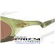 Plantaris Matte Transparent Fern / Prizm Tungsten (OO9437-03)