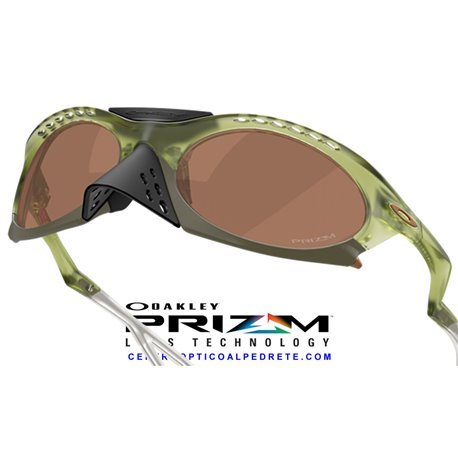 Plantaris Matte Transparent Fern / Prizm Tungsten (OO9437-03)