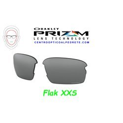 Flak XS Lente Prizm Black (102-992-003)