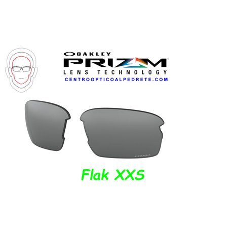 Flak XS Lente Prizm Black (102-992-003)