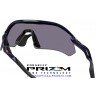 Radar Plate Polished Navy / Prizm Grey (OO9495D-07)