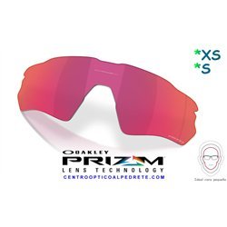 Radar EV S Lente Prizm Field Vented (AOO9510LS-000002)